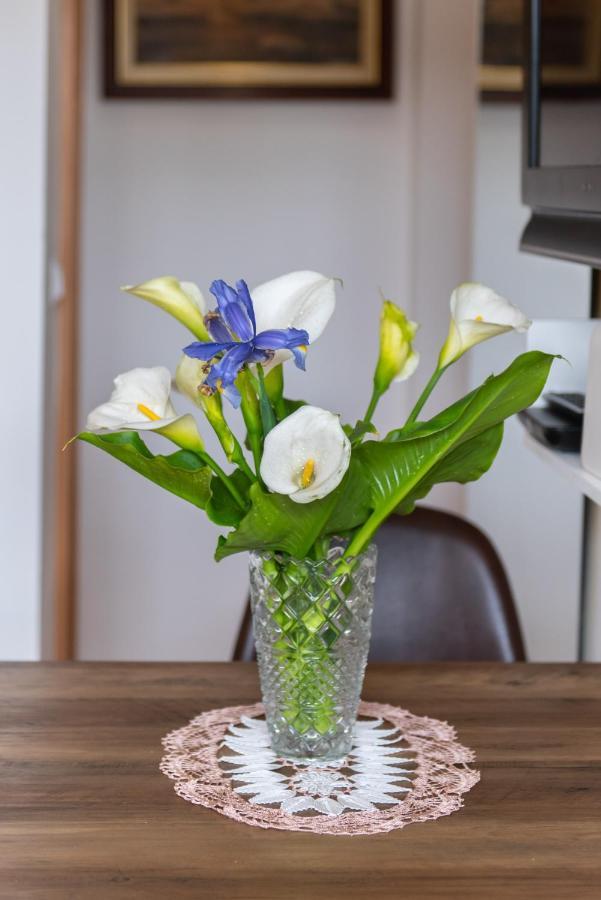 Studio Apartment Vittoria 洛夫兰 外观 照片